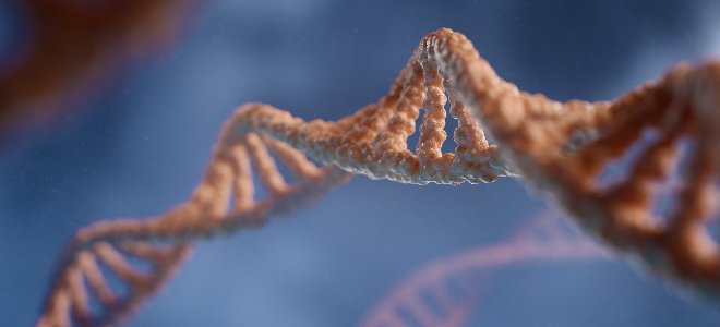 Физиология және мединица саласындағы Нобель сыйлығы РНҚ вакциналары үшін берілді